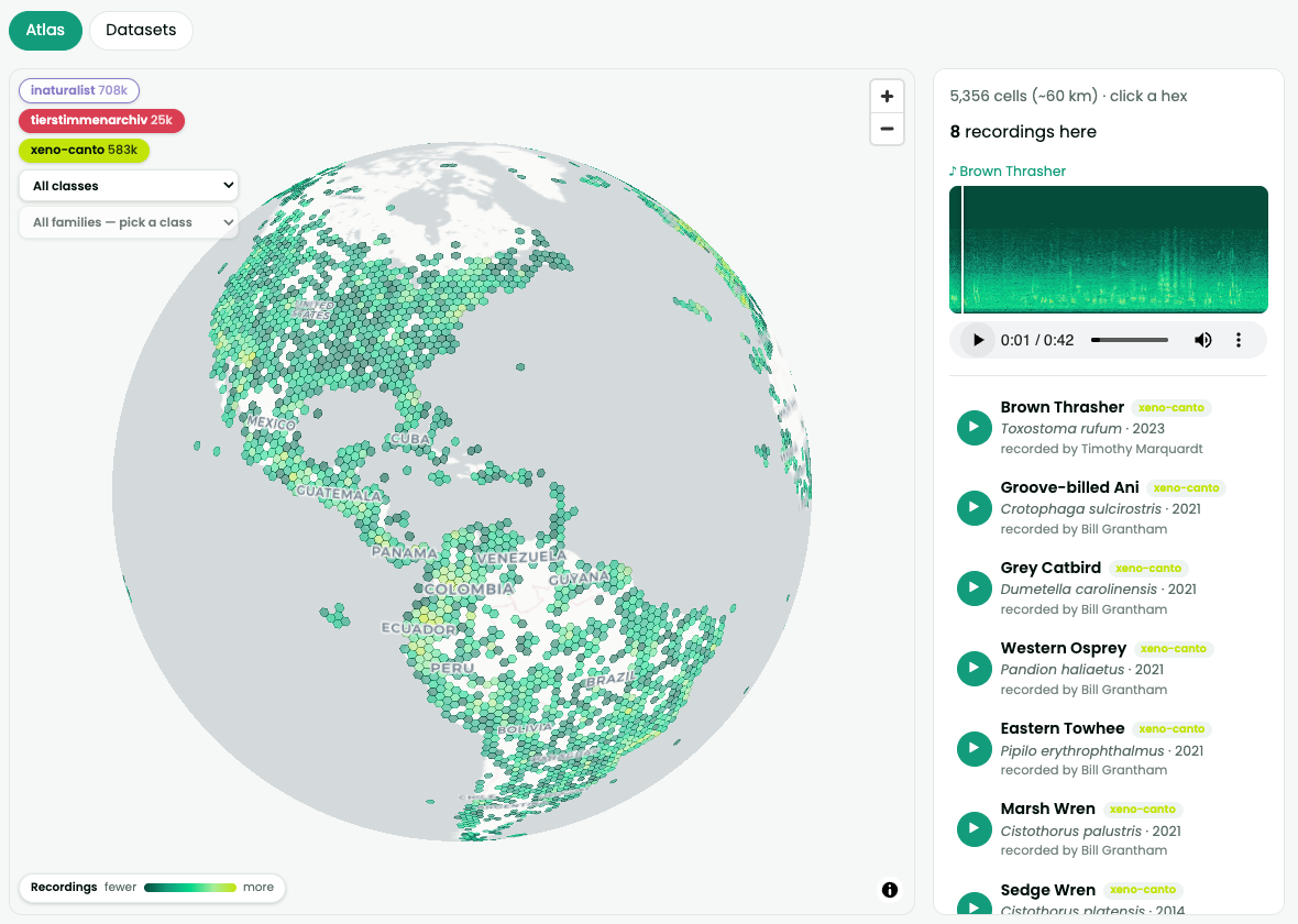 Interactive Explorer preview