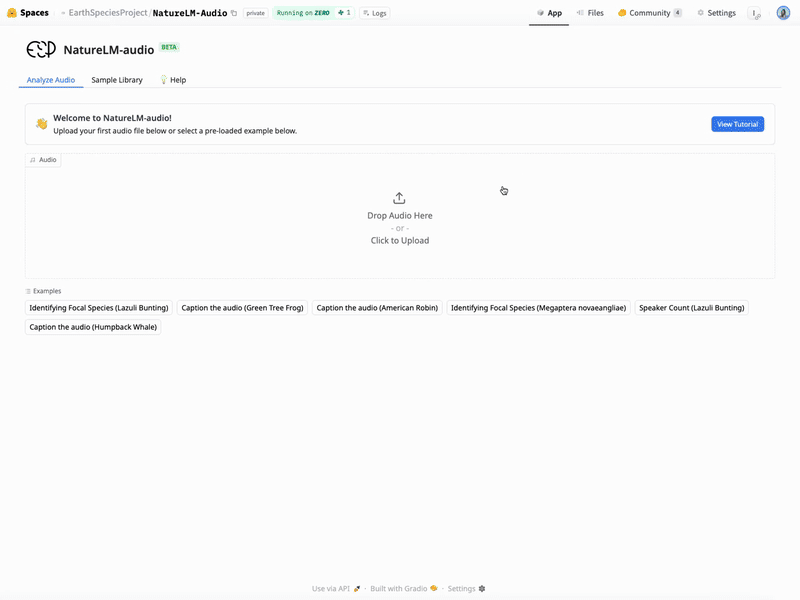 NatureLM-audio interactive demo